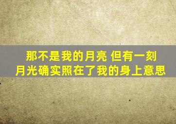 那不是我的月亮 但有一刻月光确实照在了我的身上意思